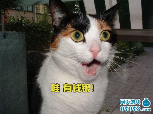 网页游戏玩家真的是人傻钱多吗? _业界新闻