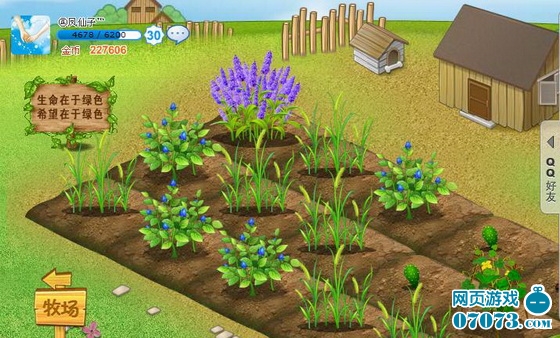 qq最高等级_qq农场种啥收入最高