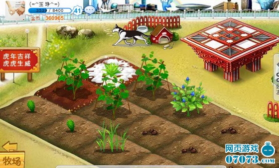 qq最高等级_qq农场种啥收入最高