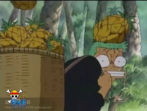 海贼王索隆白痴图片 _ 精美同人 - 07073海贼王