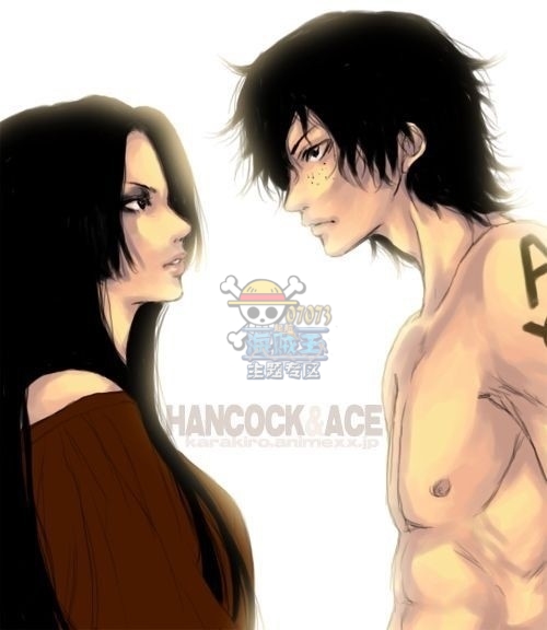 海贼王人物CP图集 总有你想不到的那一对(8) 