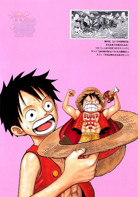 海贼王你肯定没有见过的好看图集!(2) _ 精美同