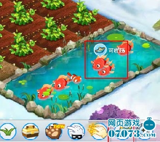 qq农场鱼塘怎样从好友的鱼塘里捞鱼?_QQ农场