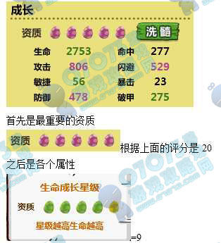 原始人也疯狂宠物资质超详尽解析_原始人也疯